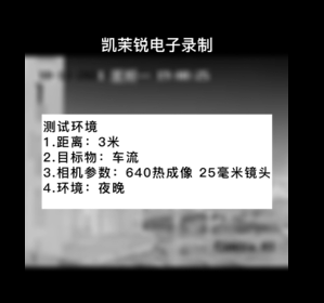 熱成像白熱模式車(chē)流測(cè)試